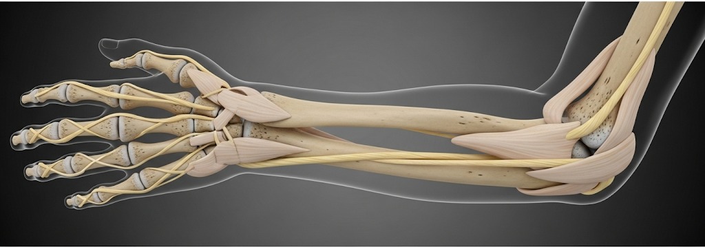 Wrist & Elbow