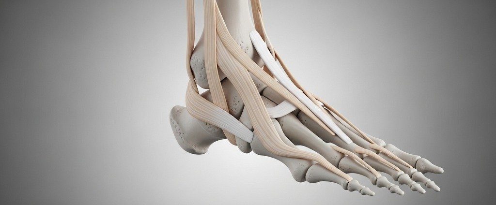 Foot and Ankle